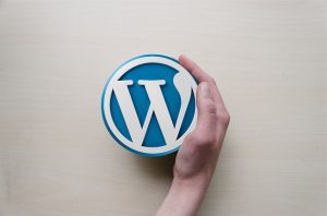 mejores plugins wordpress