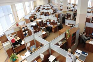 sectores con más empleo