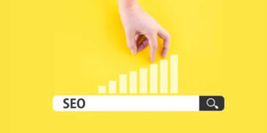 por qupe aplicar seo en mi empresa