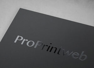impresion profesional online