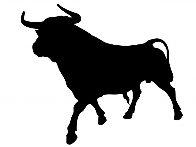 ¿Qué es BULLX2?