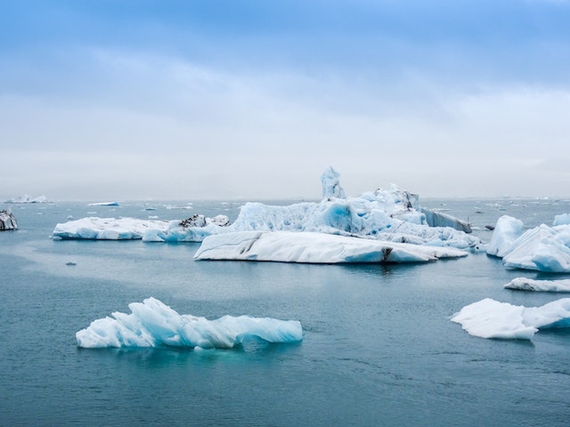 campañas sobre cambio climático