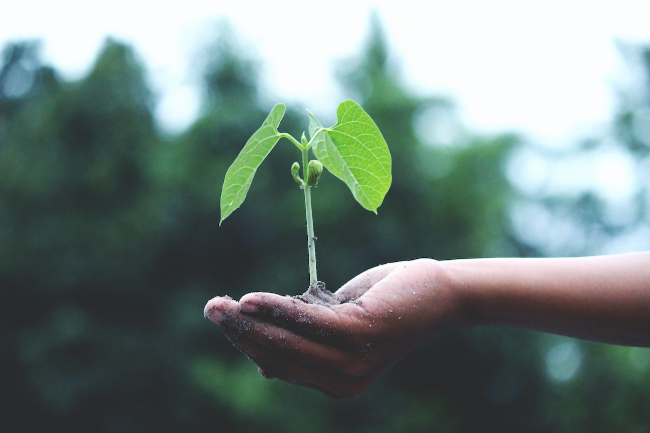 marketing sobre cambio climático